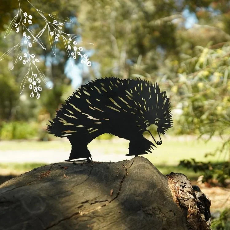 Animalia Art -Echidna