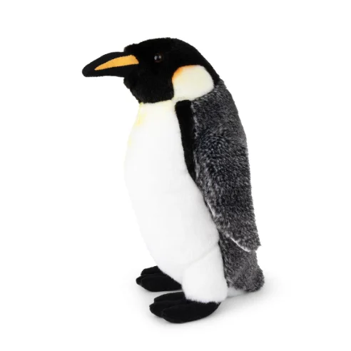 Emperor Penguin