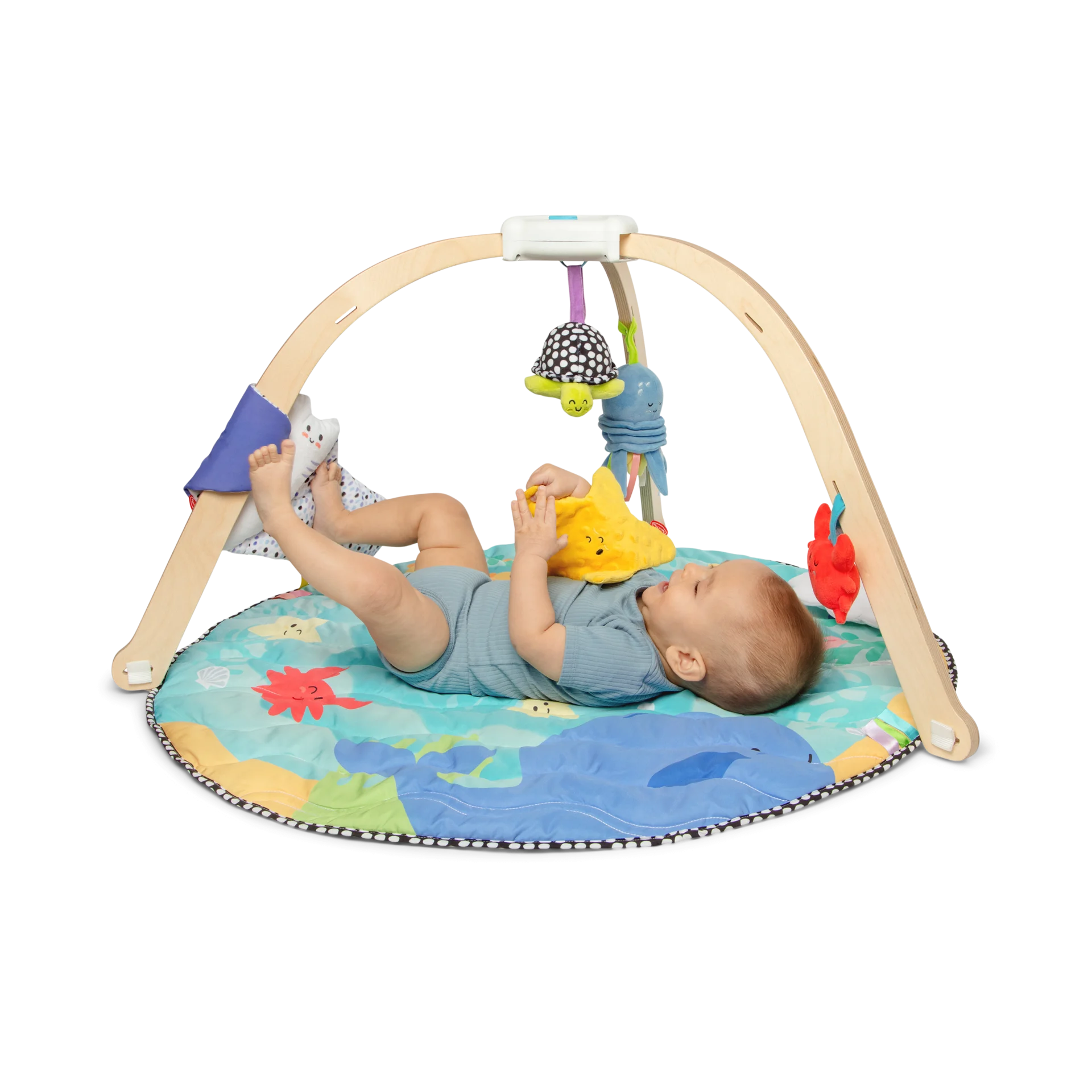 Melissa & Doug Ocean Easy-Fold Play Gym - Multi | Babylist Shop