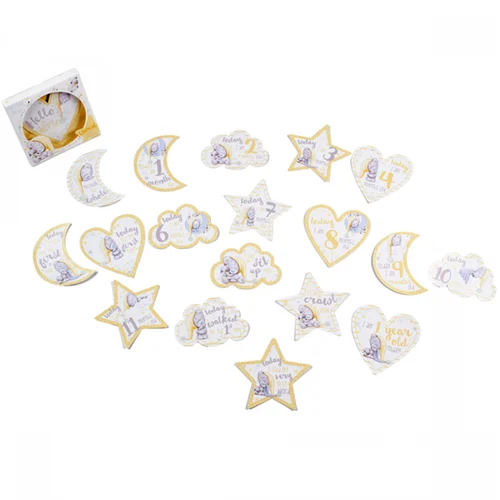 Tiny Tatty Teddy Milestone Stickers